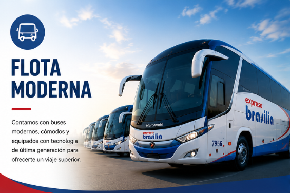Flota